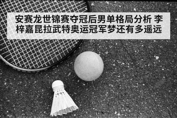 Viktor Axelsen badminton(jiuyouhui)